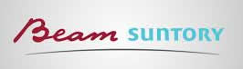 Beam - Safety Audit Client